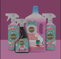 Fabulosa Candy Cane Kiss 4 Piece Cleaning Bundle